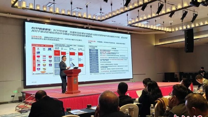 可行性报告评审费用：揭秘其收取规定与考量因素